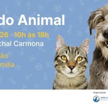 Festa do Animal 2026
