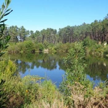 Caminhando entre Lagoas de Sintra