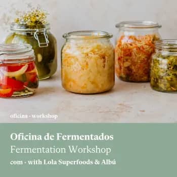 Oficina de Fermentados