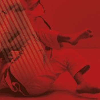 20.º Festival de Artes Marciais