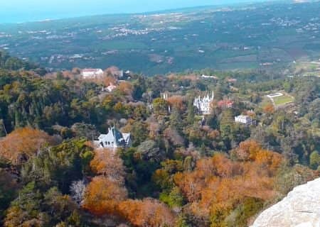 Hiking in Sintra with Yoga in the Park