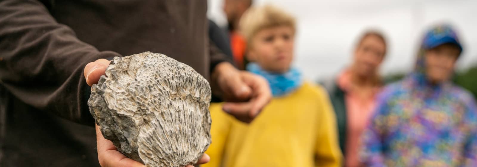 Fossiler og vulkaner på Malmøya (6-12 år) (BTn26)