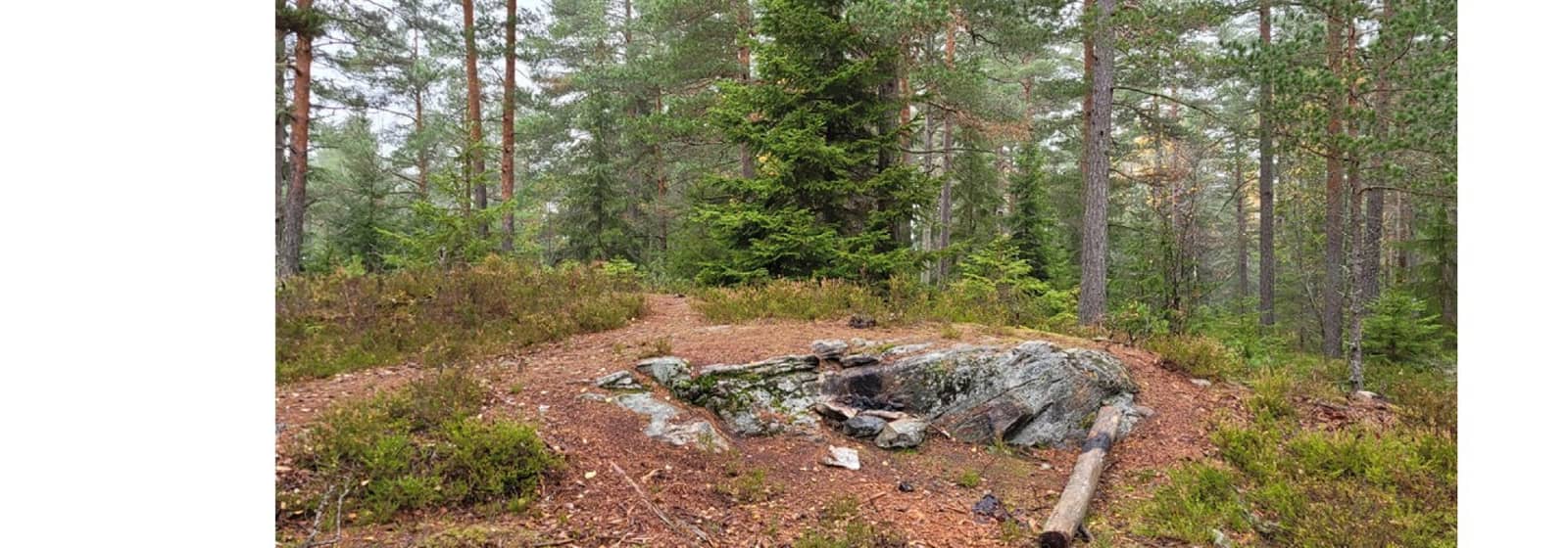 Vandregruppa - Hvervenbukta over Svartskog til Breivoll