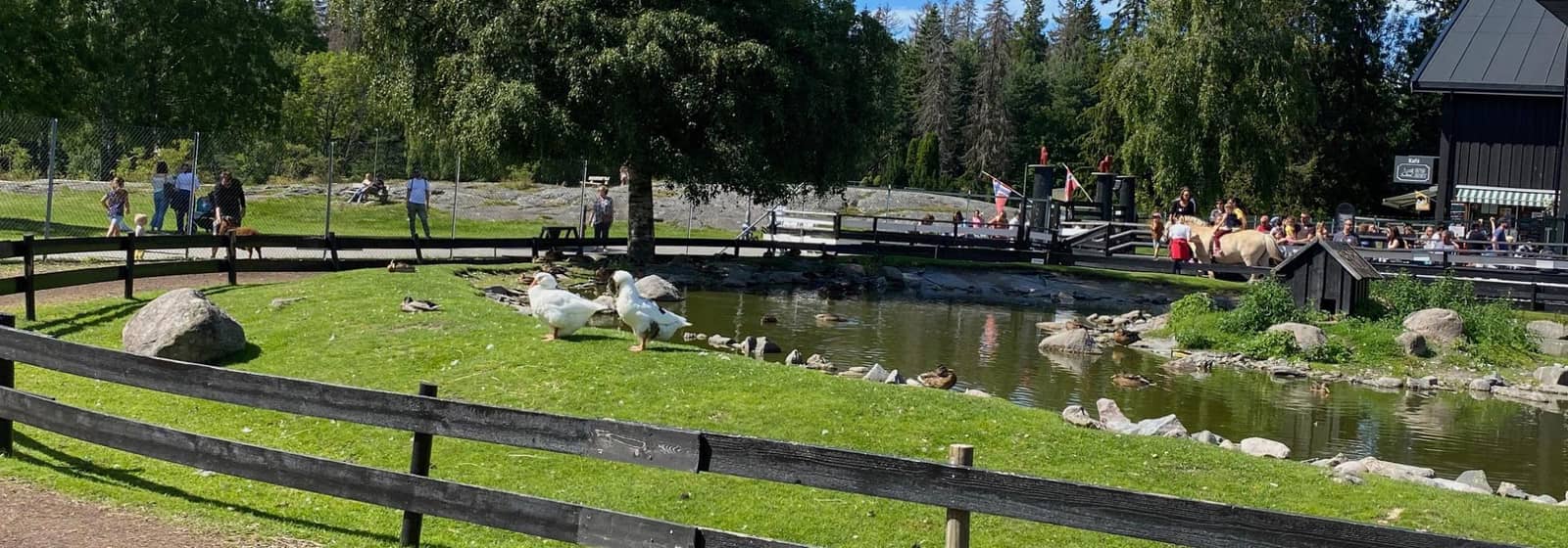 Mingling i parken for turledere i Vandregruppa