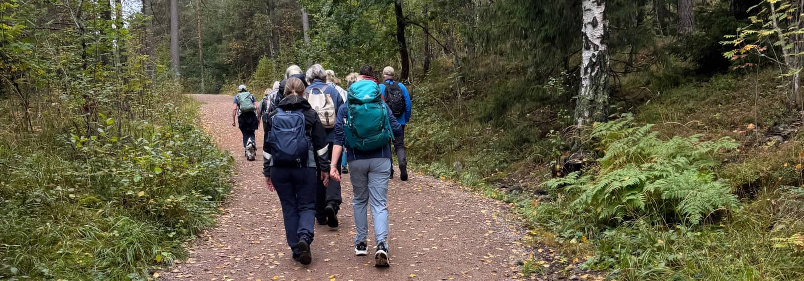 Bli med Sognsvannsgruppa på tur over Barlindåsen fra Movatn