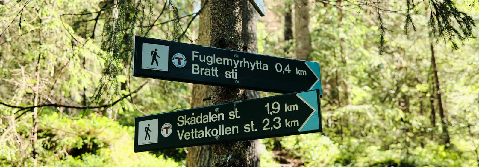 Nærtur fra Tonsenhagen