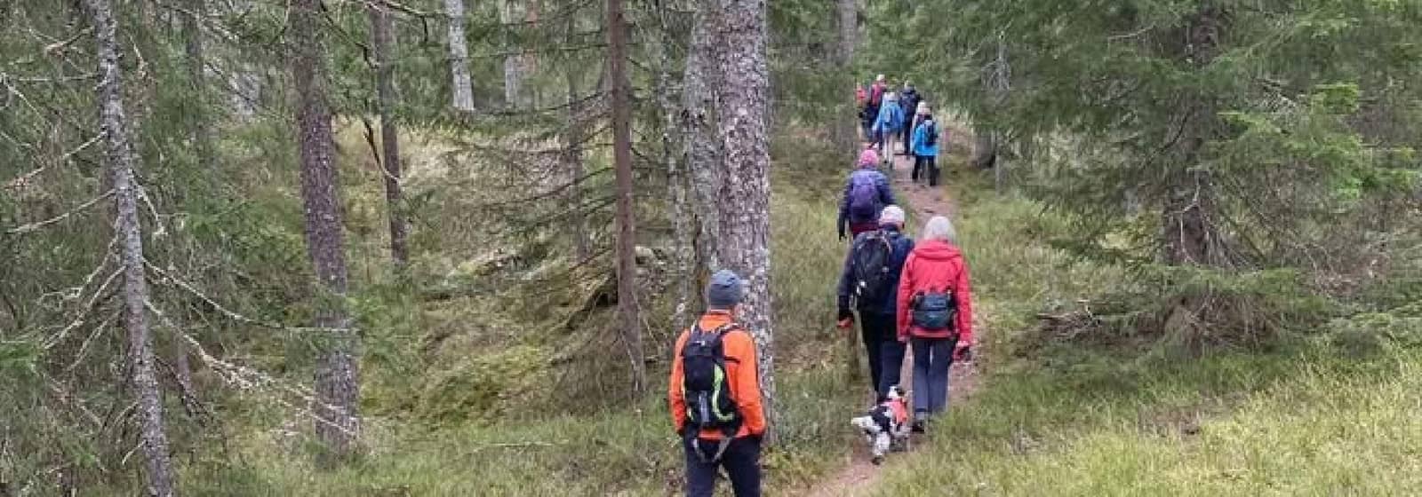 DNT Etter Jobb - Tur til Godbekken friluftsområde ved Sognsvann