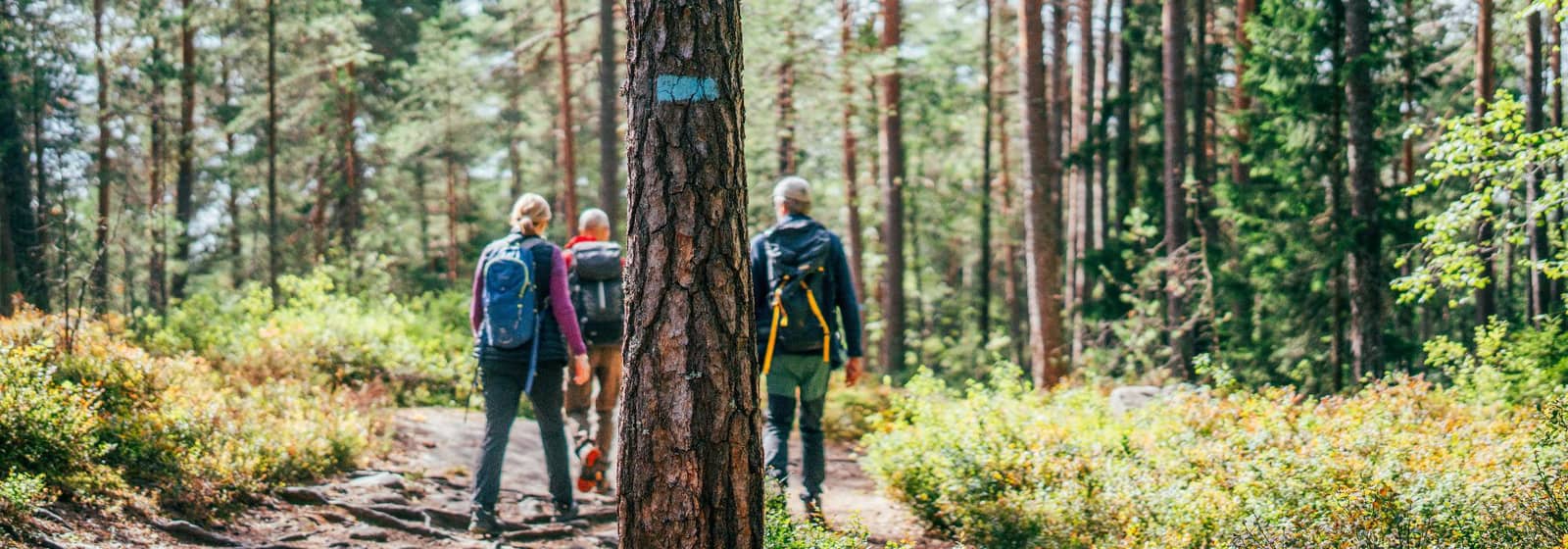 Jubileumstur for de blåmerkede stiene i marka