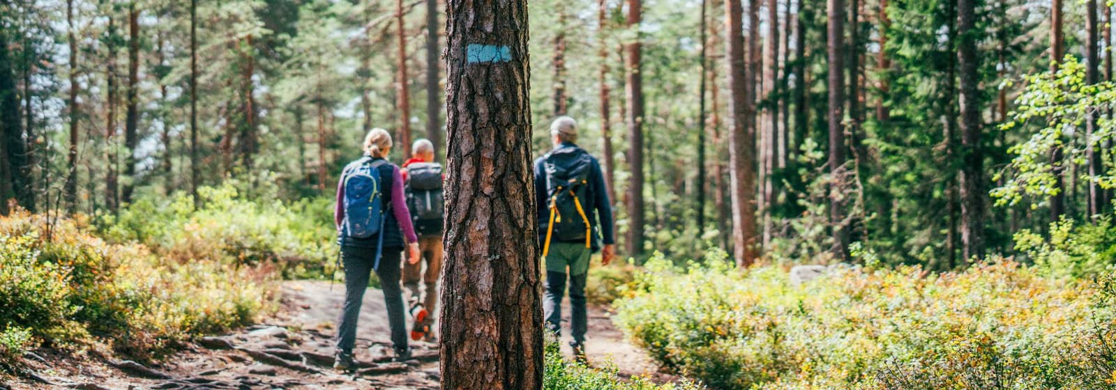 Jubileumstur for de blåmerkede stiene i marka