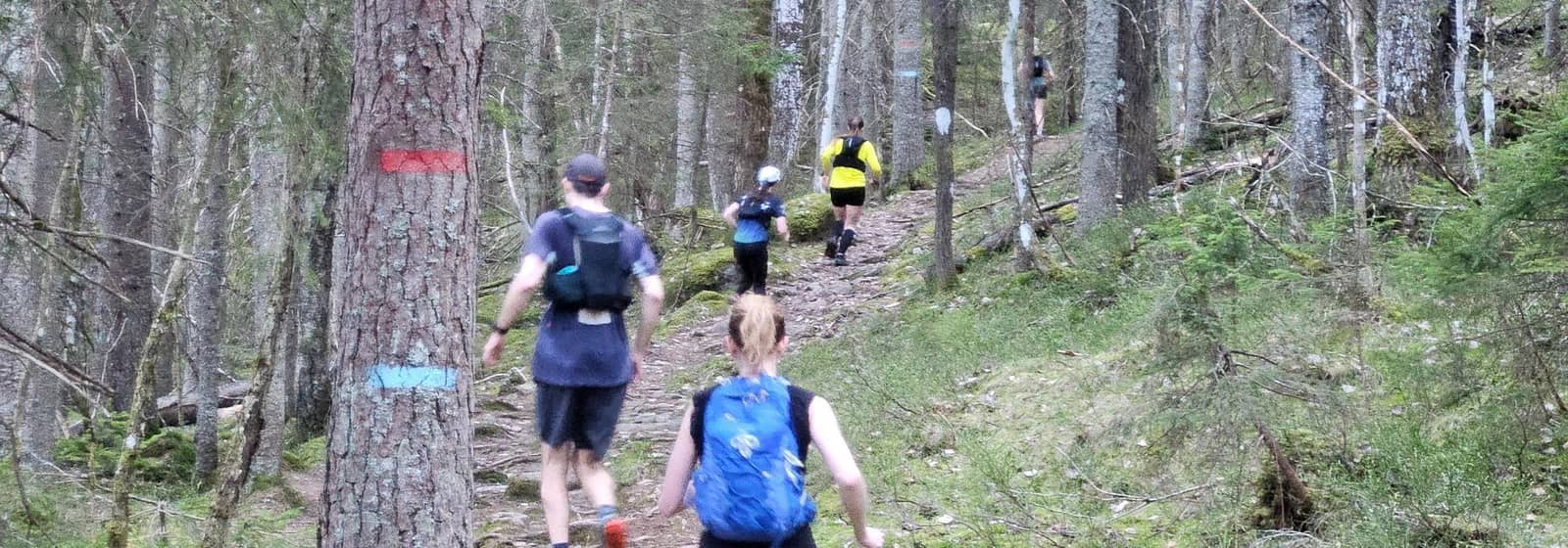 Stiløping med matstopp på Linderudkollen