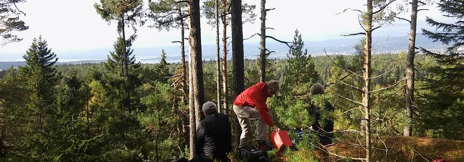 Nærtur med Bøler-gruppa til Grønliåsen