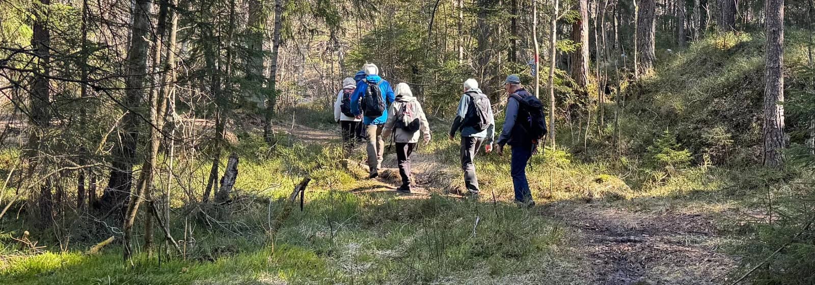 Nærtur fra Ellingsrud