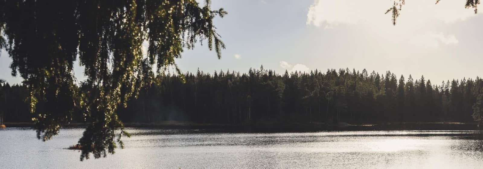 Søndagsløpetur Brekke-Sognsvann (t/r) med boller (DNT ung Oslo, 13-30år)