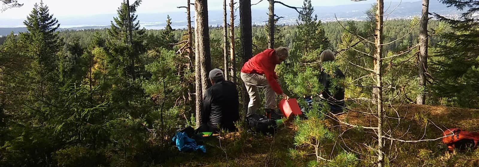Nærtur med Bøler-gruppa rundt Ulsrudvann