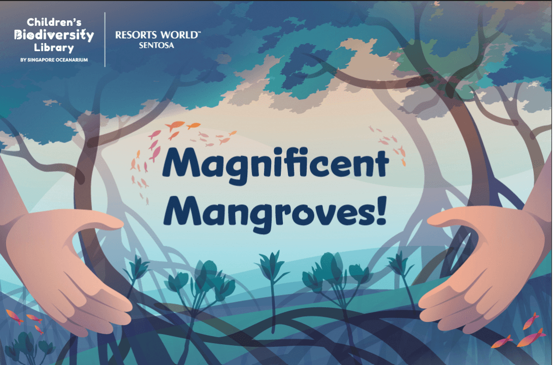 [Earth Heroes] Magnificent Mangroves!
