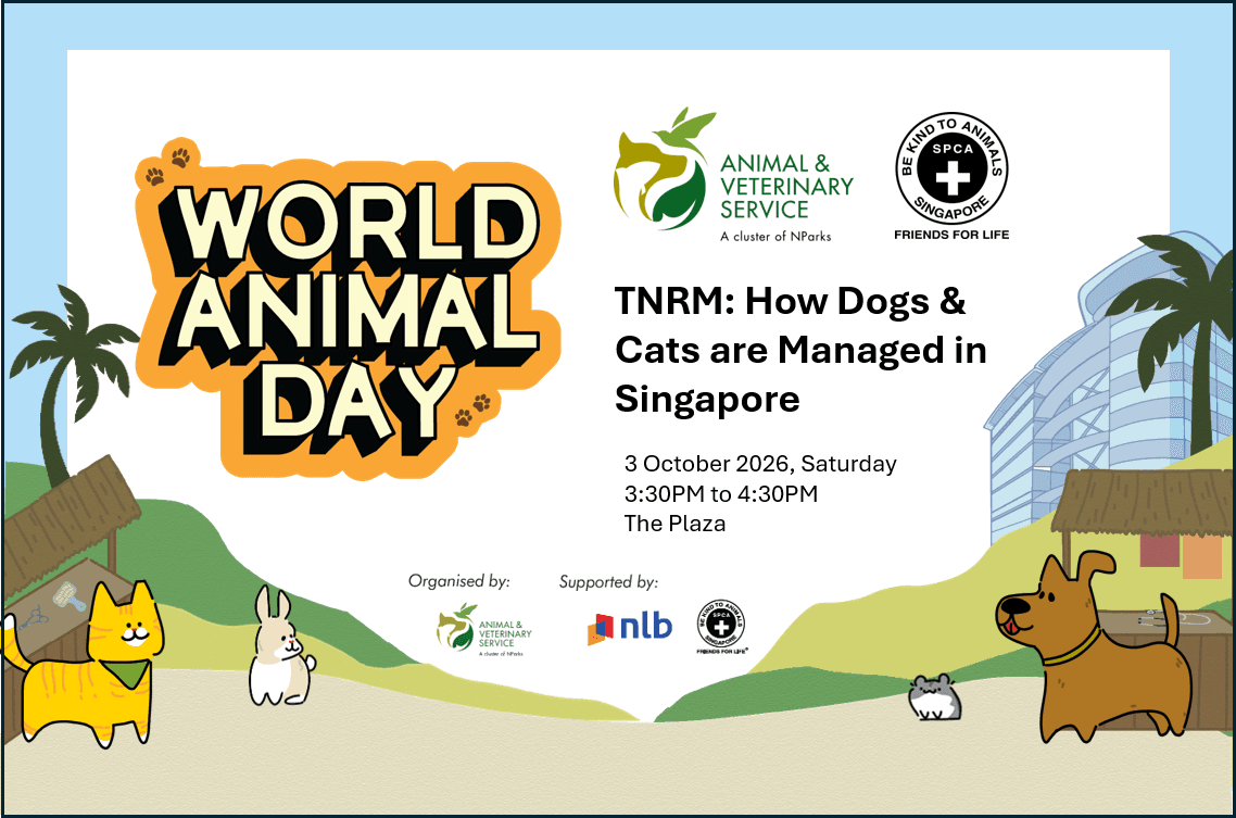 World Animal Day: TNRM: How Dog & Cats are Managed in Singapore