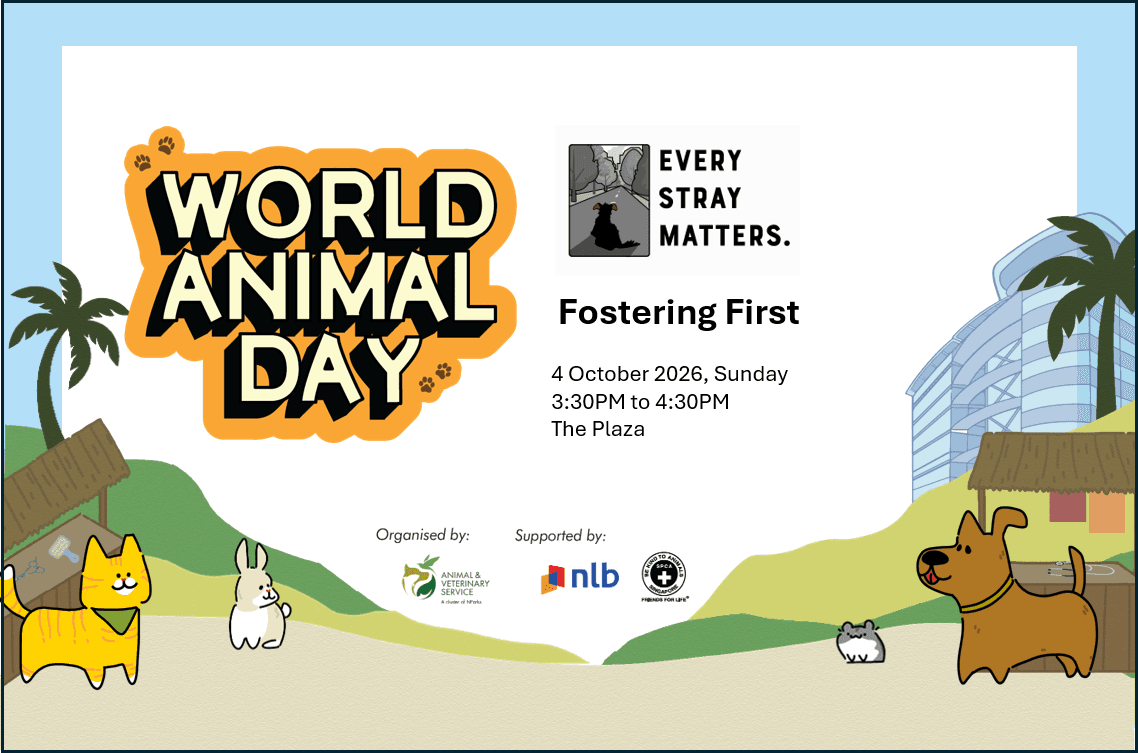 World Animal Day: Fostering First