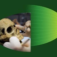 Experiència participativa 'Fòssils humans enfront del polígraf'