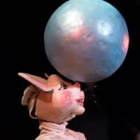 Espectacle de titelles "Greta, la rateta que escombrava...", amb la Cia. La Puntual- Eugenio Navarro i Rosa Bigas