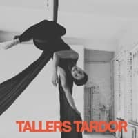 Taller 'Circ aeri / arts escèniques'