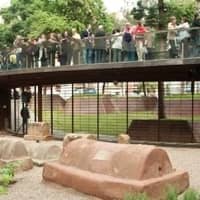 Itinerari "BCN/Barcino"