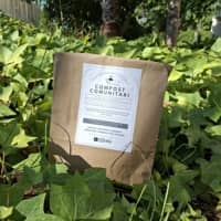 Acció comunitària “Festa del compost!” - Buidem el compostador comunitari de la Barceloneta