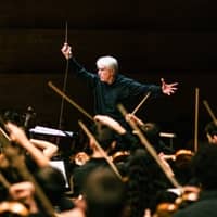 Concert "Simfonia domèstica de Strauss"