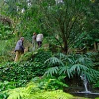 Visita guiada al Jardí Botànic Històric
