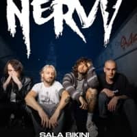 Concert "Nervy Band"
