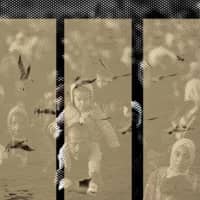 Espectacle "Ocells a la frontera"