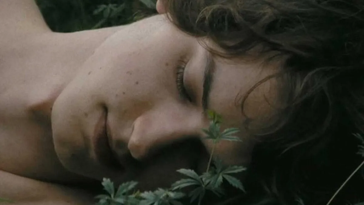 Film: Demning