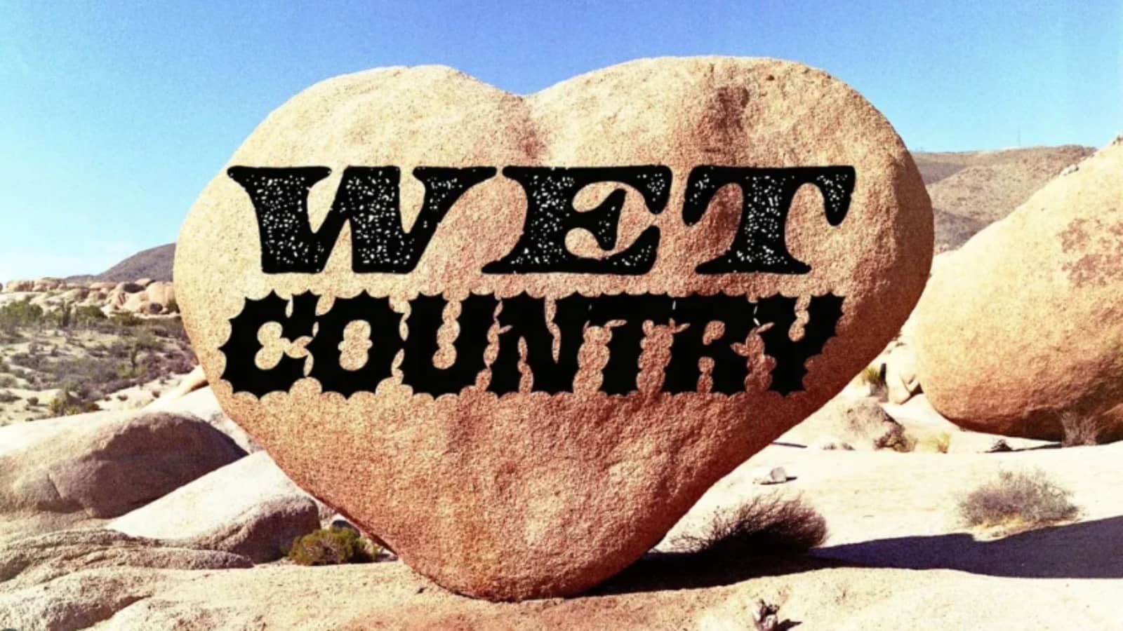 Wet Country Line dance party