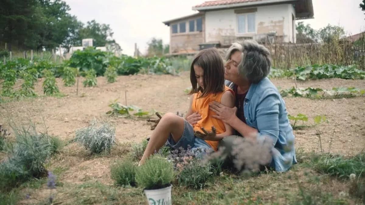 Film: 20000 species of bees