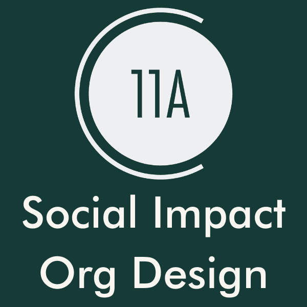 Social Impact Organization Design Course (Washington, DC)