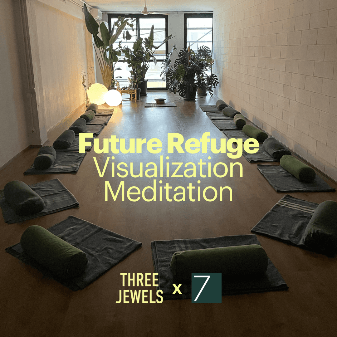 Future Refuge: Visualization Meditation Class