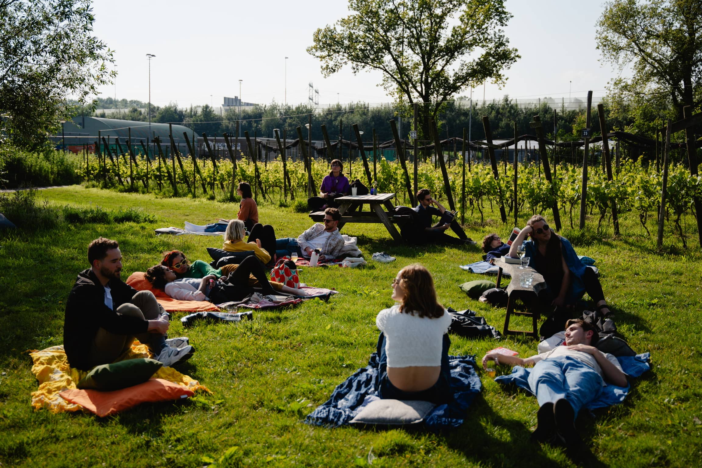 📚🎶 1-Hour Reading Rave | with Live Music | Volkspark am Weinberg