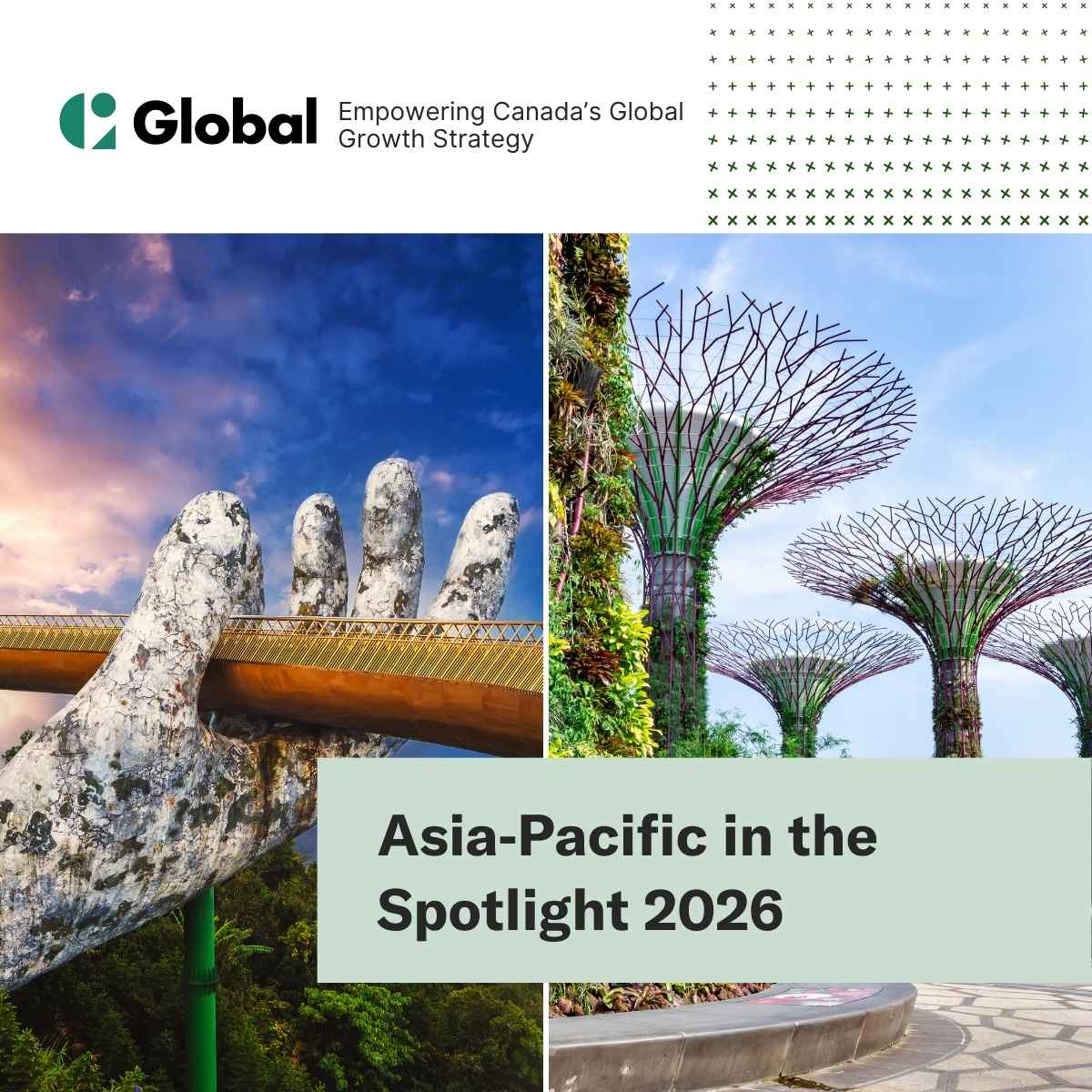 Asia-Pacific in the Spotlight