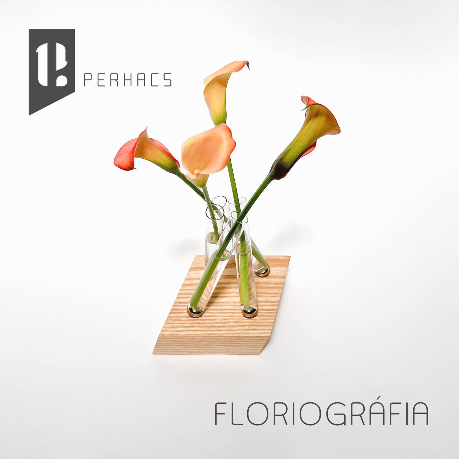Perhacs Studio open house presented by LA Design Weekend