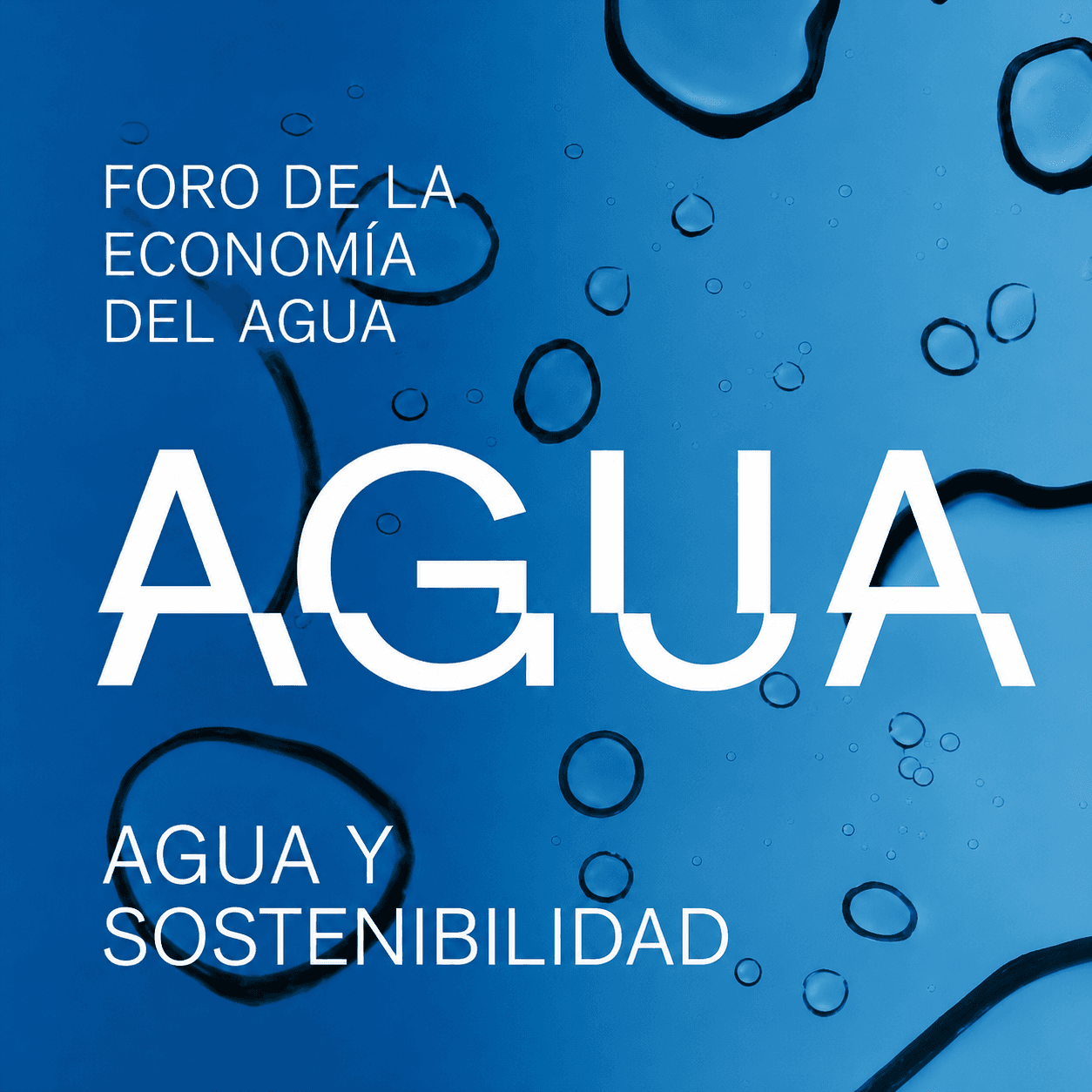 XX FORO DE LA ECONOMÍA DEL AGUA