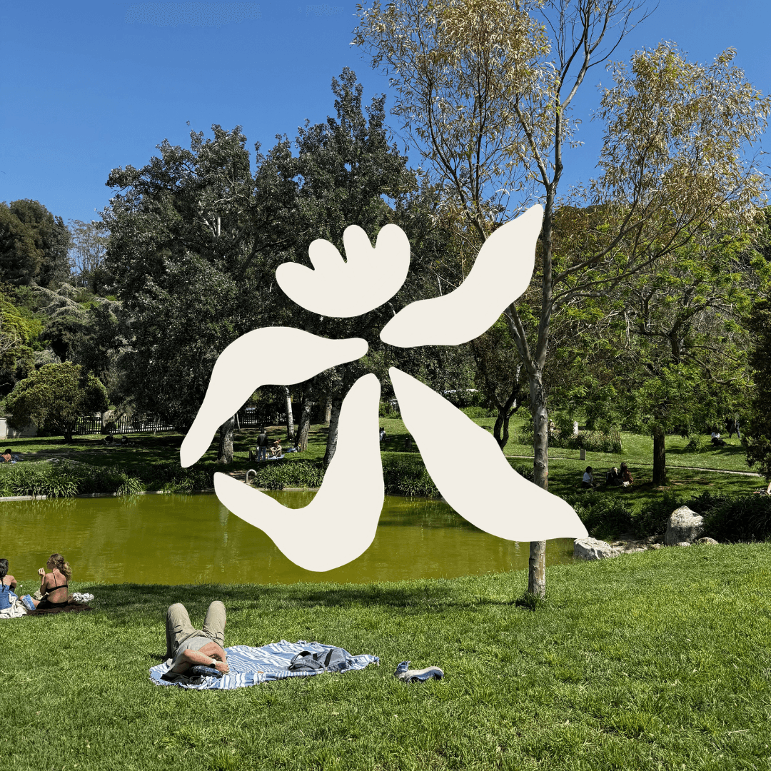 CRAFT | Crochet in the Park