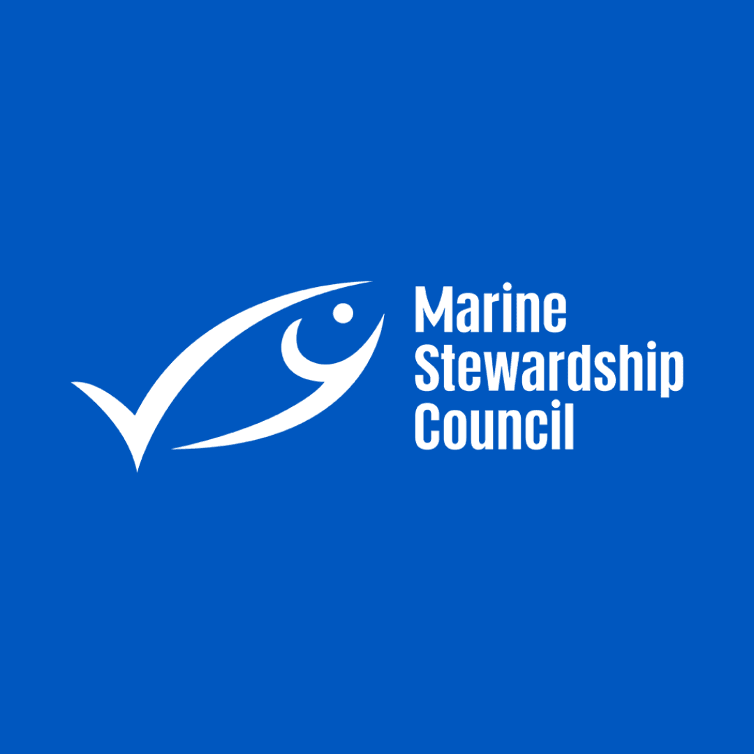 Sustainable Seafood Social: Networking Happy Hour with the MSC