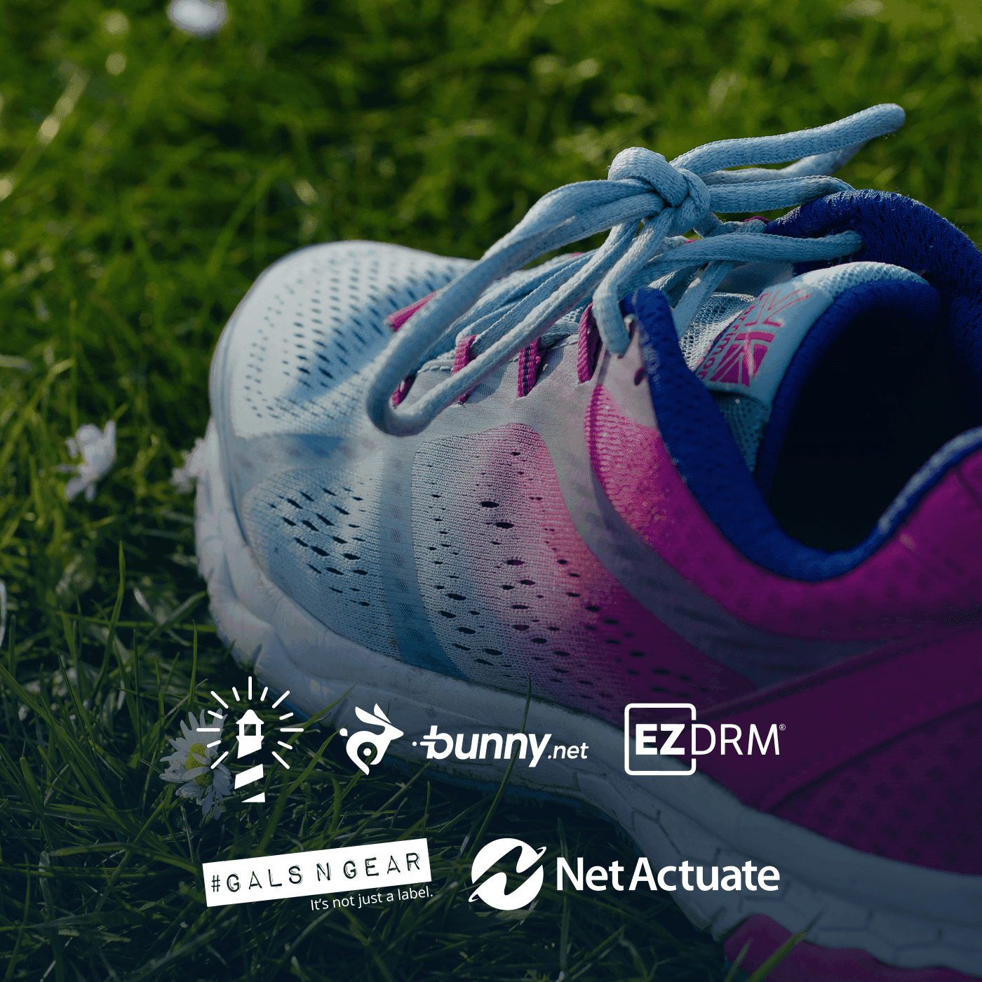 IBC 2026 4k Shakeout Run