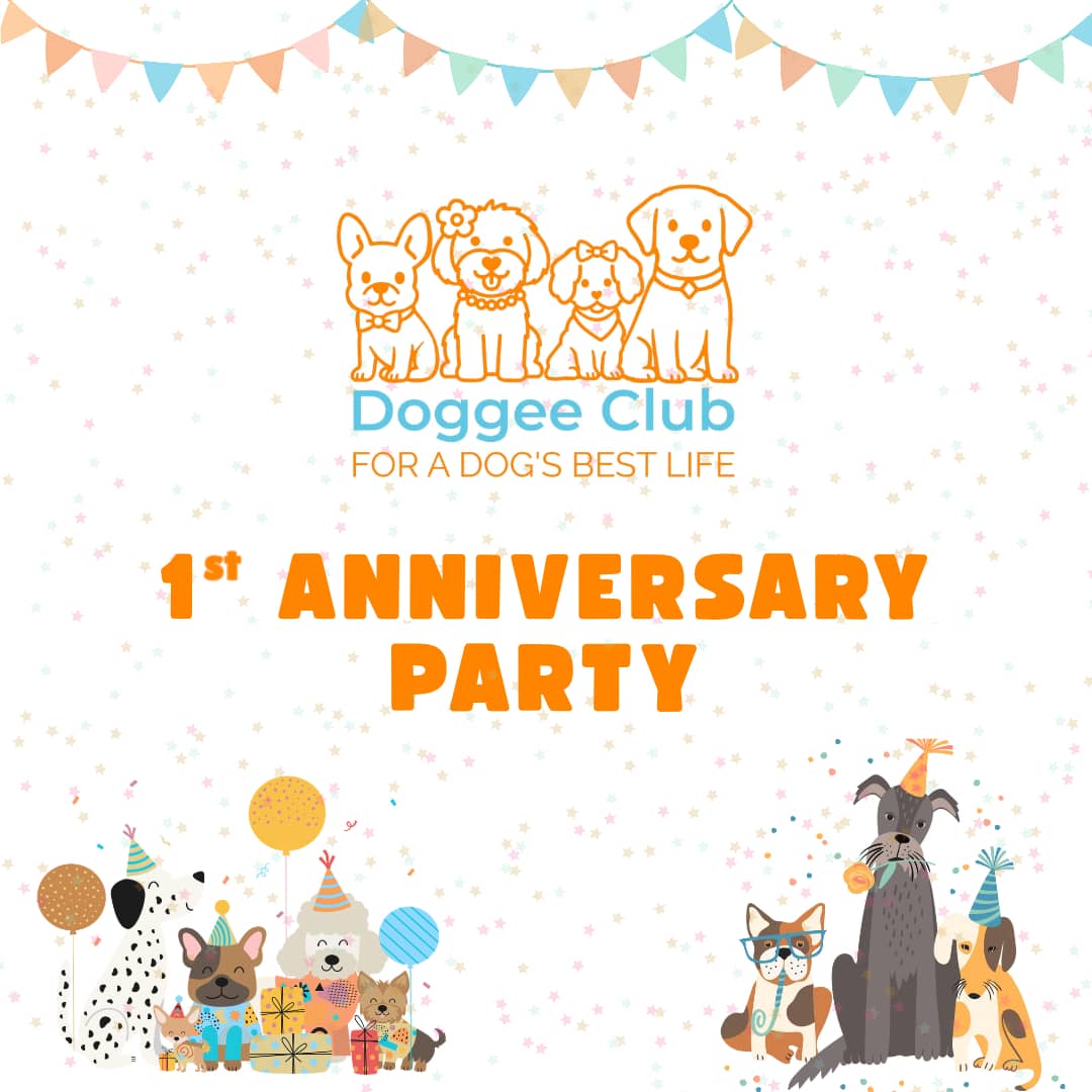 First Anniversary Party