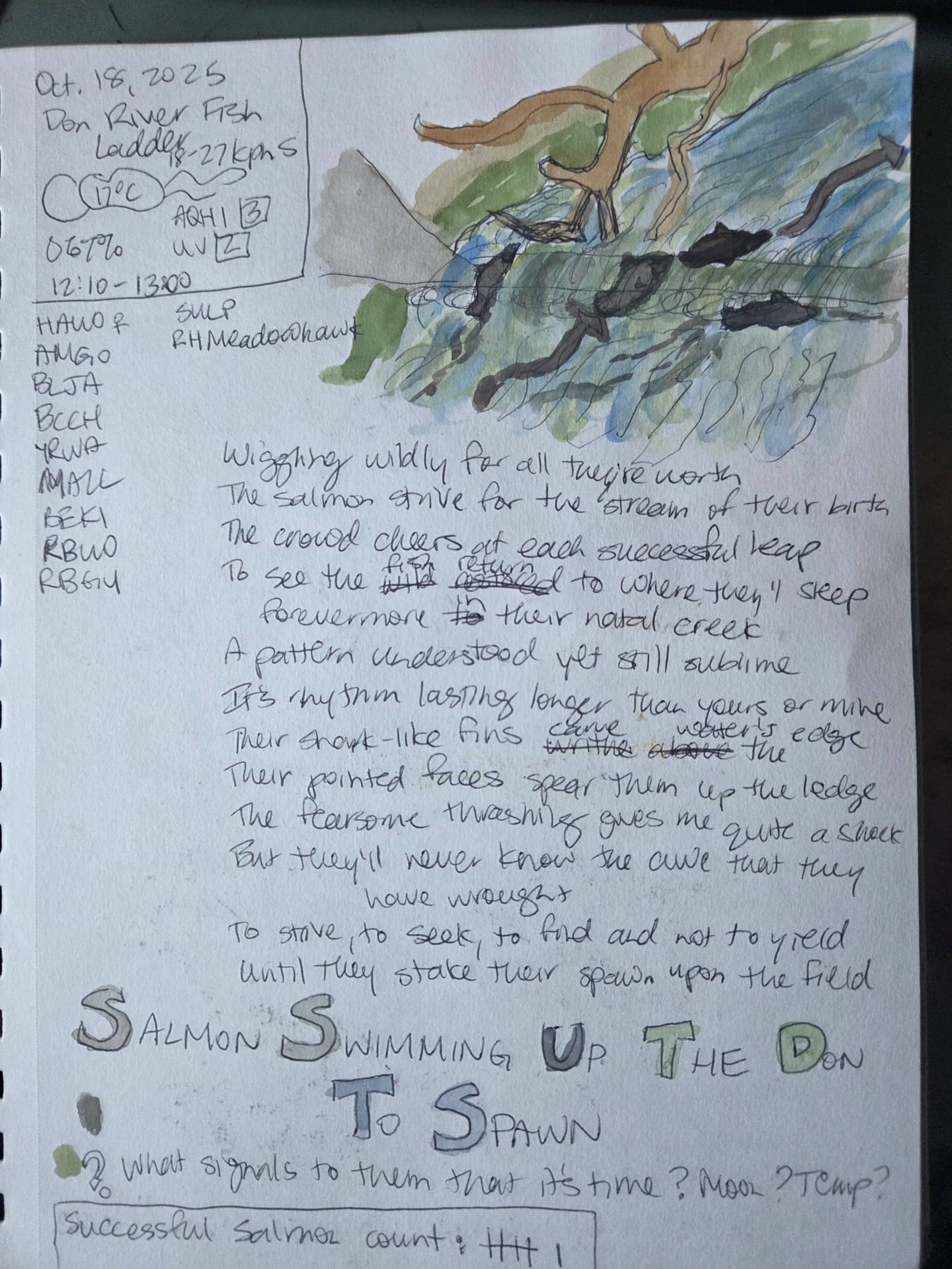 Nature Journaling and Sketching the Fall Salmon Migration