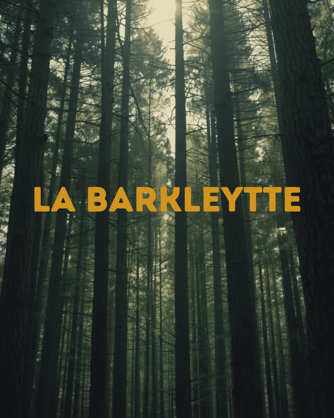 La Barkleytte