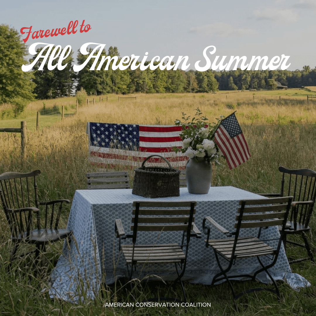A Farewell to ACC's All-American Summer