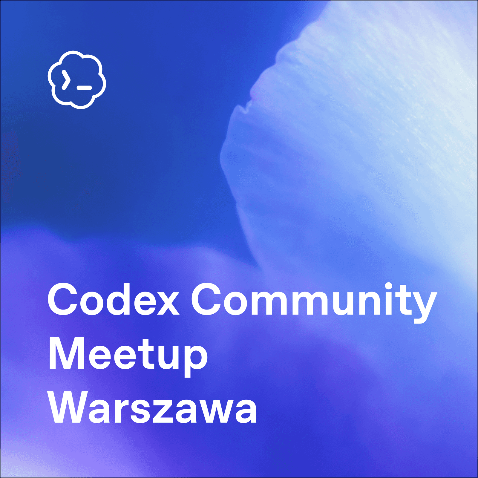 Codex Build: Future of Knowledge Work