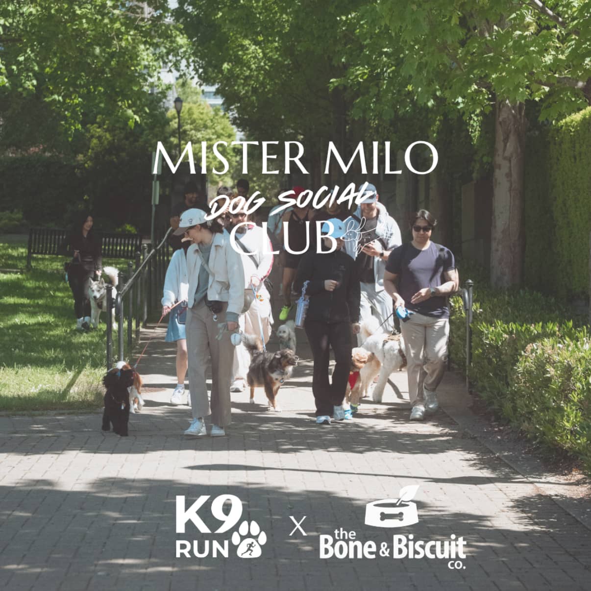 Dog Walk/Run & Social