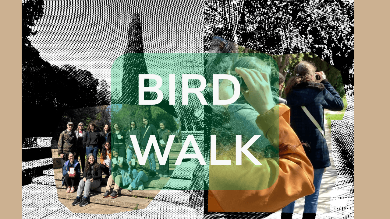 Bird Walk: Jardines de Pedralbes