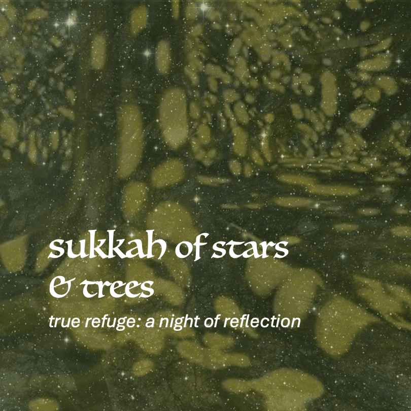 sukkah of stars & trees - a night of reflection